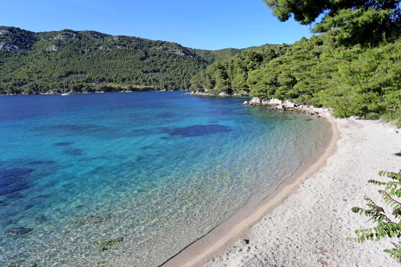 Apartments By The Sea Zuljana, Peljesac - 19080 Exterior photo